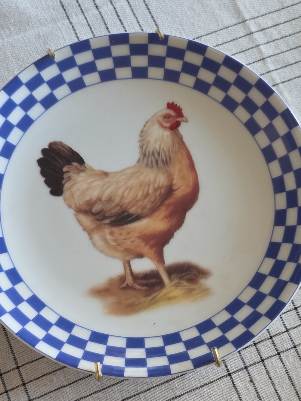 Blue Check Rim Ceramic Chicken Dinner Plate - Unbranded